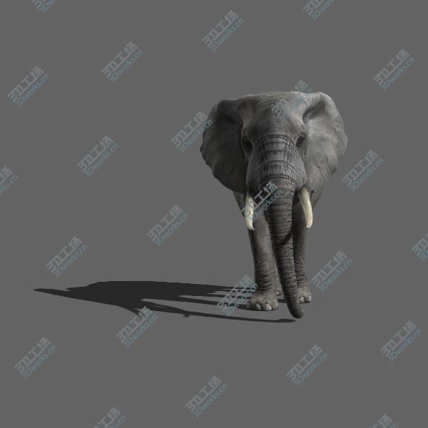 images/goods_img/20210319/PRO Elephant ANIMATED/2.jpg
